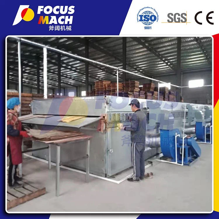 20m 1deck al vapor assecador de xapa escalfat al vapor